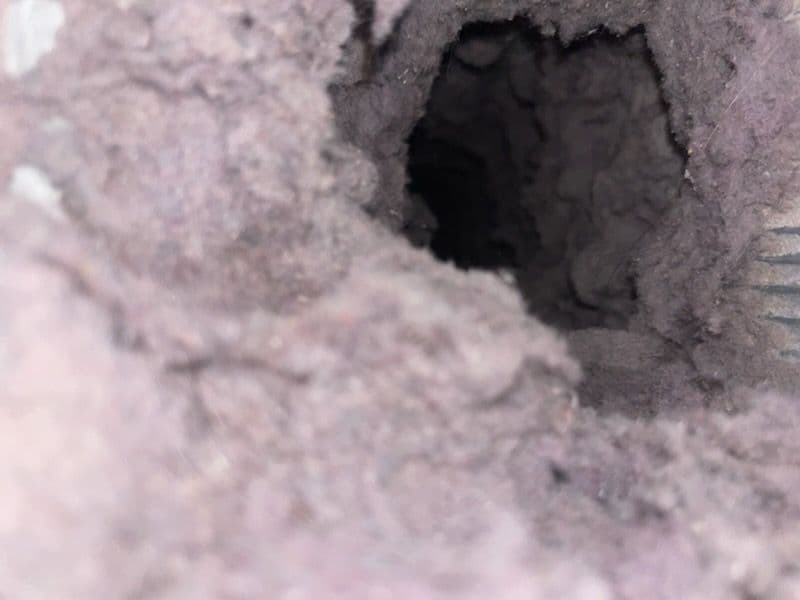 Gallery photos for Revitalize Your Dryer with Expert Vent Cleaning: Image #2