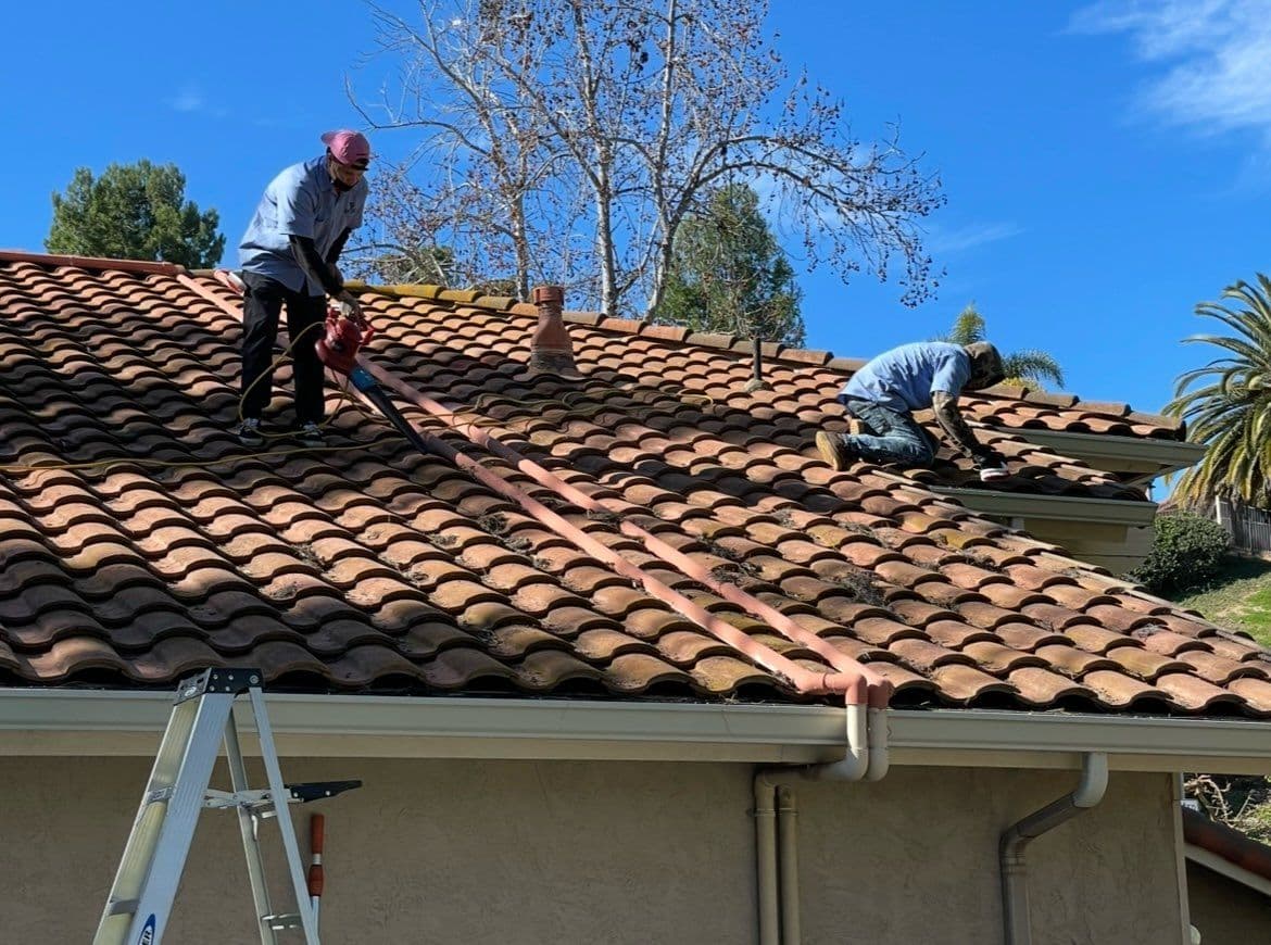 Gallery photos for Gutter Cleaning for Roof Longevity: Image #1