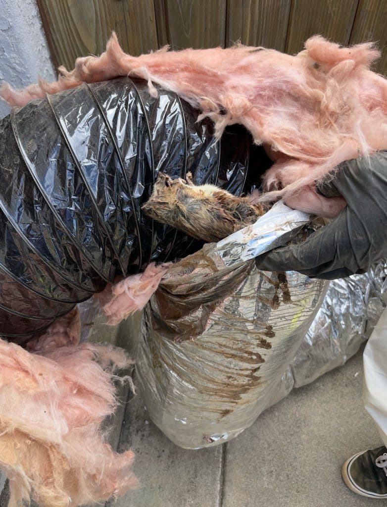 Say Goodbye to Lingering Duct Smells image