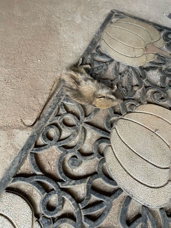Gallery photos for Say Goodbye to Lingering Duct Smells: Image #2