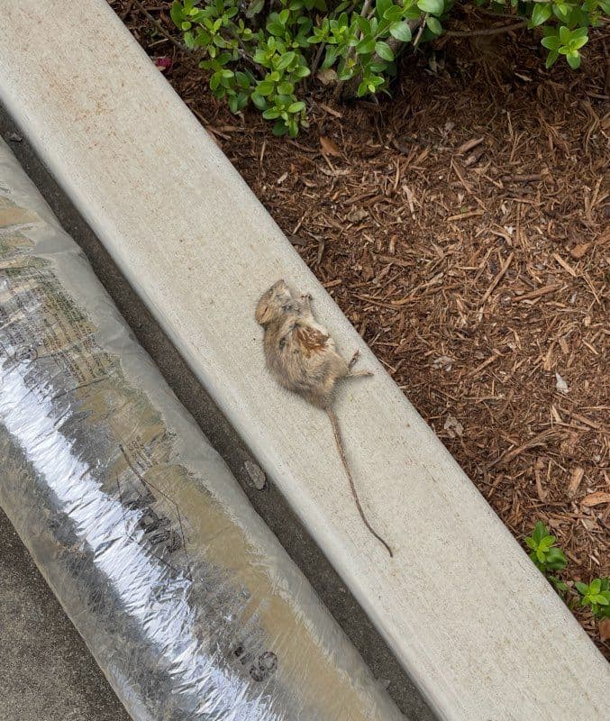 Gallery photos for Say Goodbye to Lingering Duct Smells: Image #3