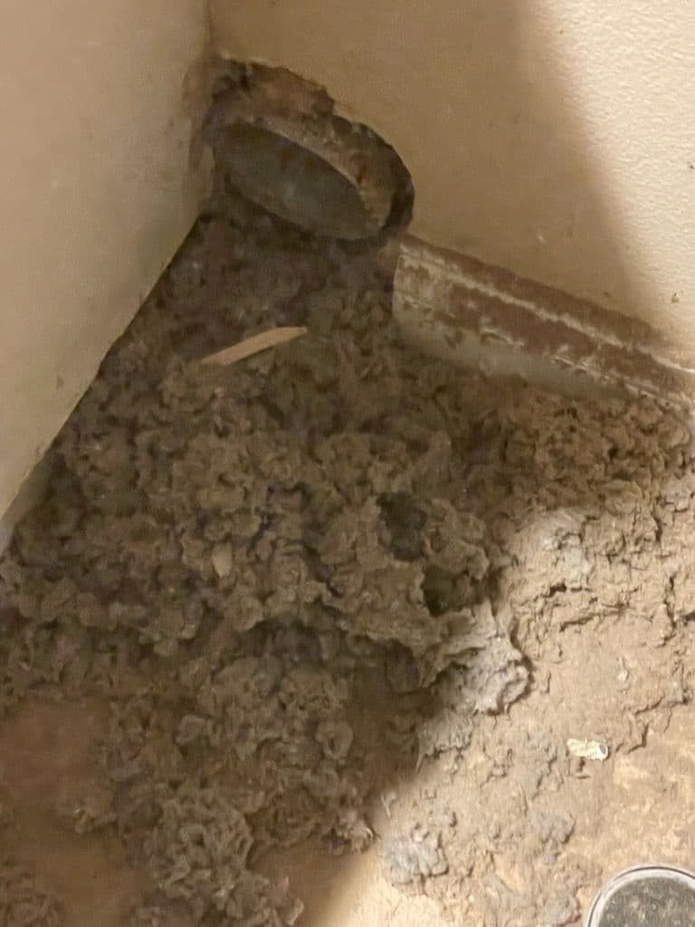 Prevent Hazards with Expert Dryer Vent Cleaning image